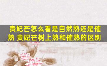 贵妃芒怎么看是自然熟还是催熟 贵妃芒树上熟和催熟的区别